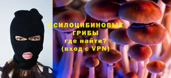ГАЛЛЮЦИНОГЕННЫЕ ГРИБЫ Арсеньев