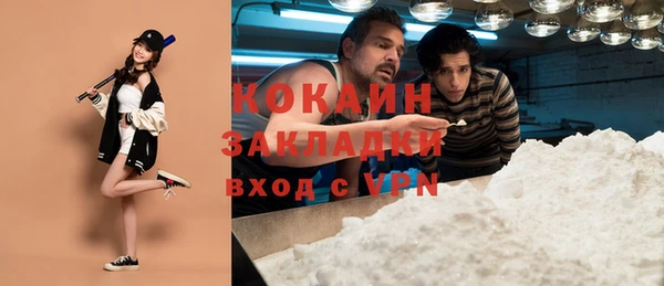 ГАЛЛЮЦИНОГЕННЫЕ ГРИБЫ Арсеньев