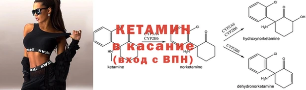 кокс Аркадак